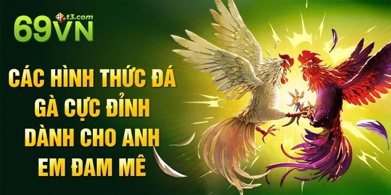 Các hình thức đá gà cực đỉnh dành cho anh em đam mê