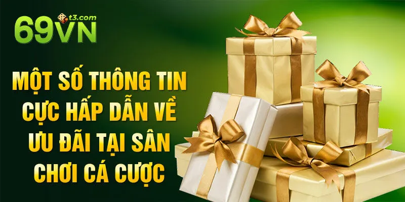 Một số thông tin cực hấp dẫn về ưu đãi tại sân chơi cá cược